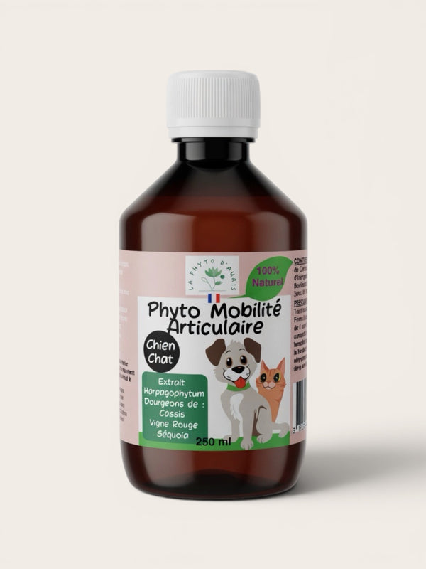Complément articulations naturel pour chien & chat — Mobilité, souplesse & confort articulaire · 250 ml