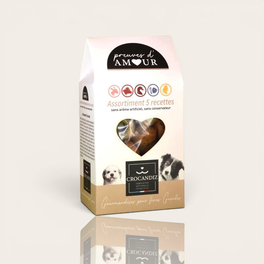 Friandises naturelles pour chien — Assortiment 5 recettes, sans céréales, fabrication française · 100 g