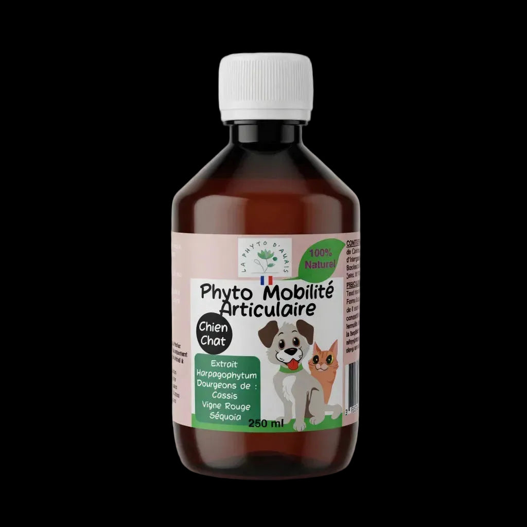 Phyto Mobilité Articulaire – Complément Naturel pour les Articulations de Chien et Chat