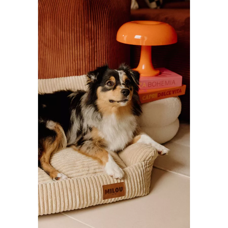 Panier orthopédique pour chien — Mémoire de forme, velours 100% recyclé, déhoussable · 2 tailles