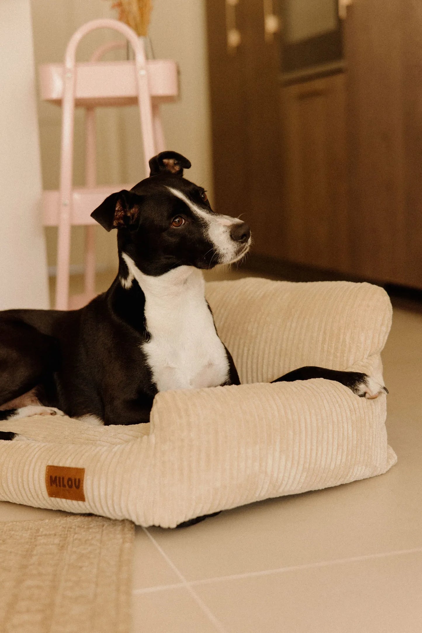 Panier orthopédique pour chien — Mémoire de forme, velours 100% recyclé, déhoussable · 2 tailles