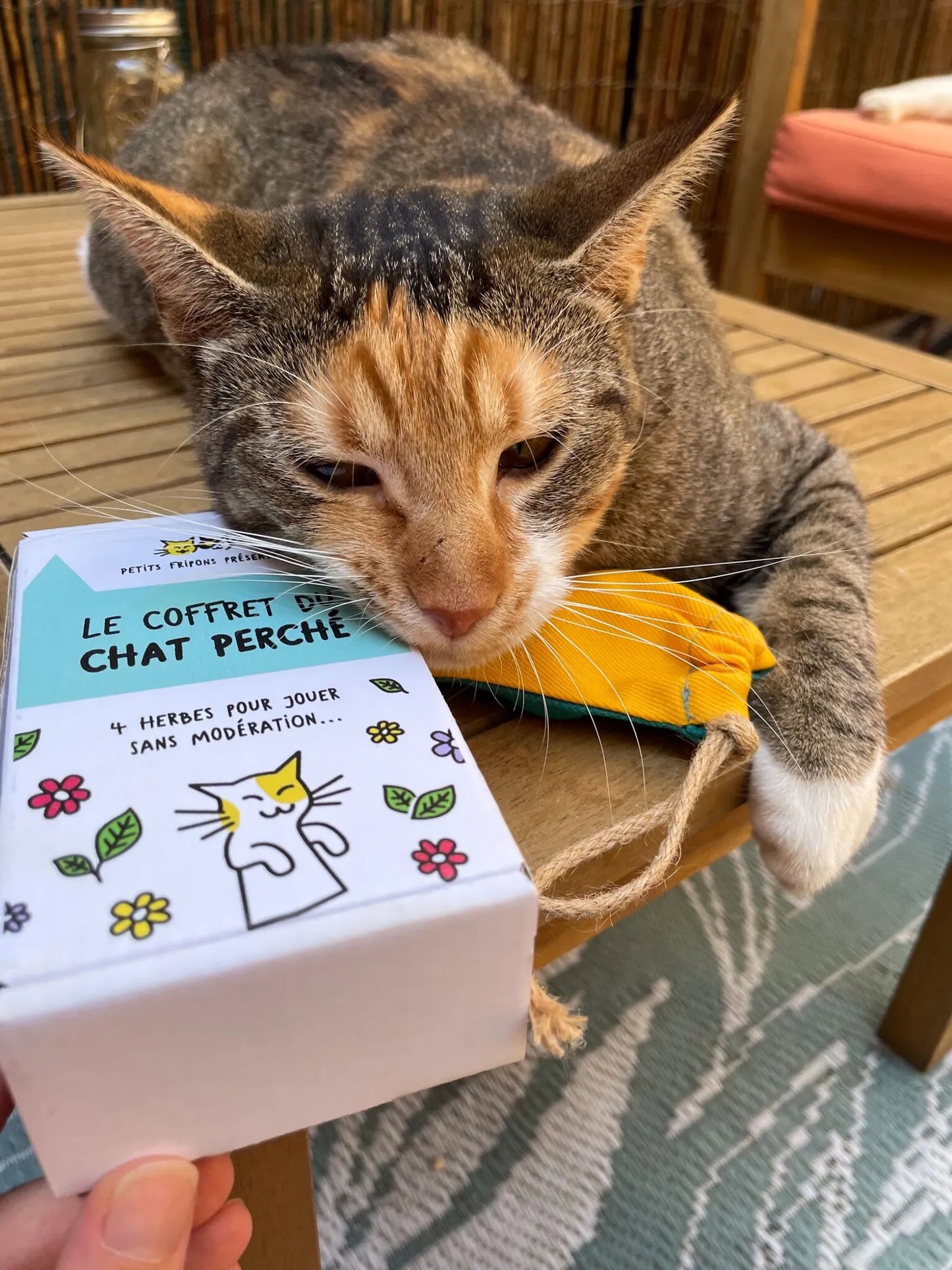Le Coffret du Chat Perché — Herbes-aux-chats bio