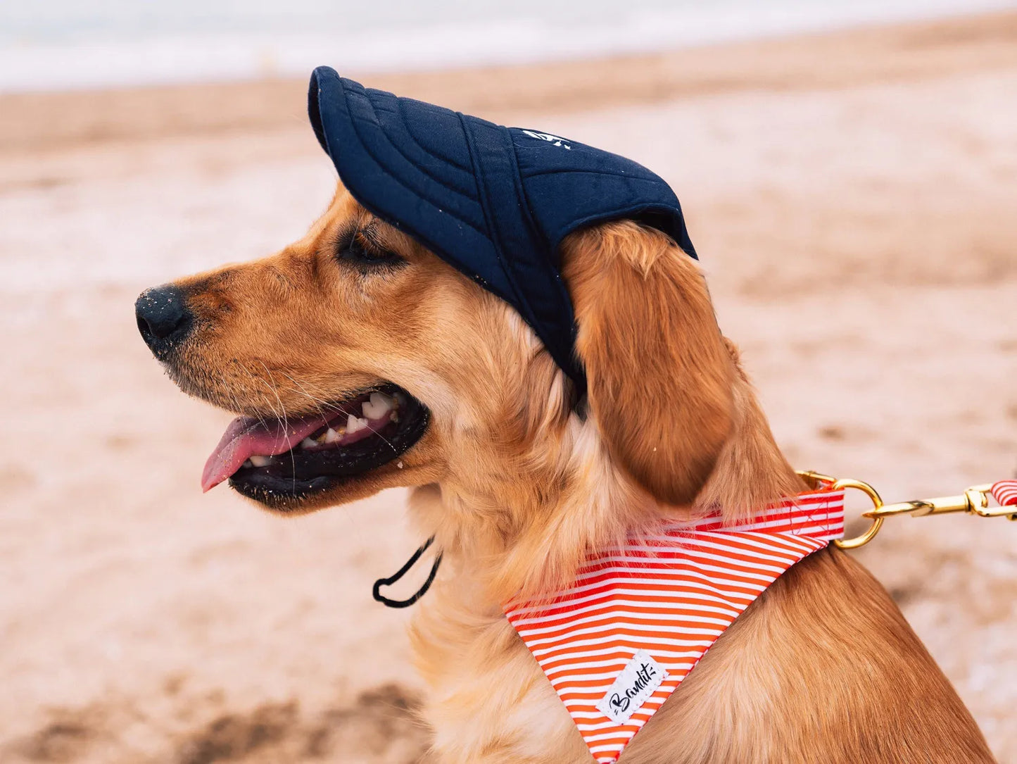 Casquette pour chien anti-UV — Protection soleil tête & yeux, Made in France · 4 tailles