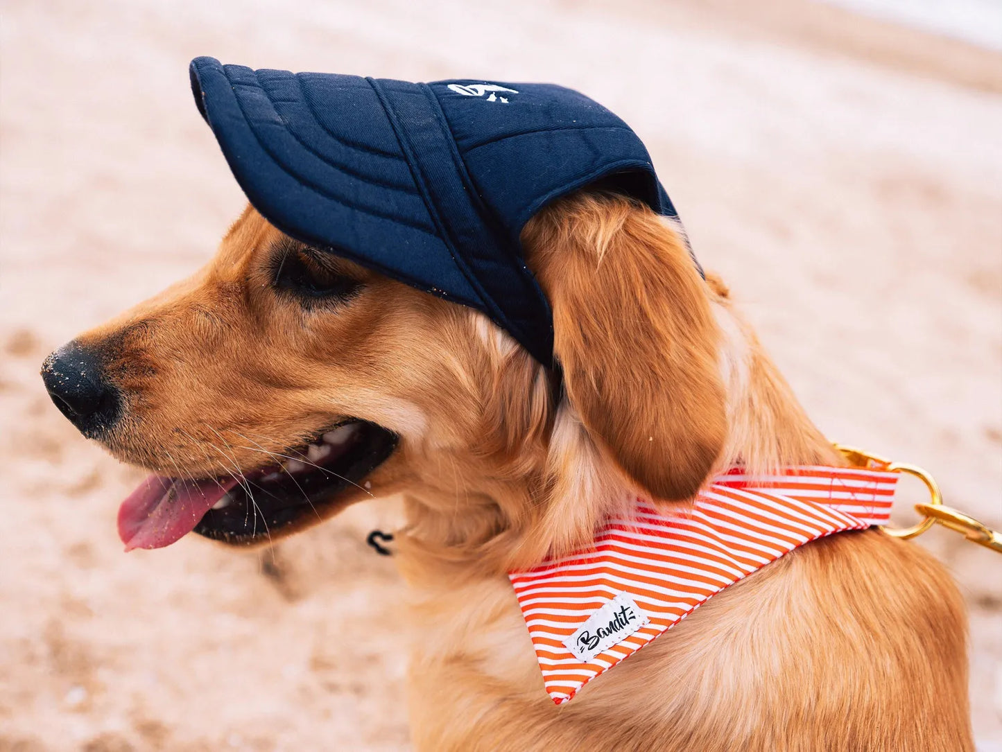 Casquette pour chien anti-UV — Protection soleil tête & yeux, Made in France · 4 tailles