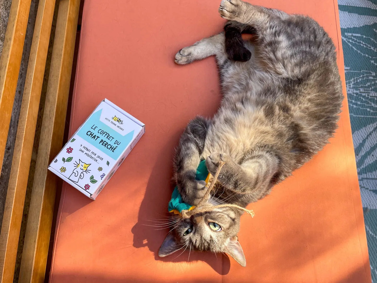 Le Coffret du Chat Perché — Herbes-aux-chats bio