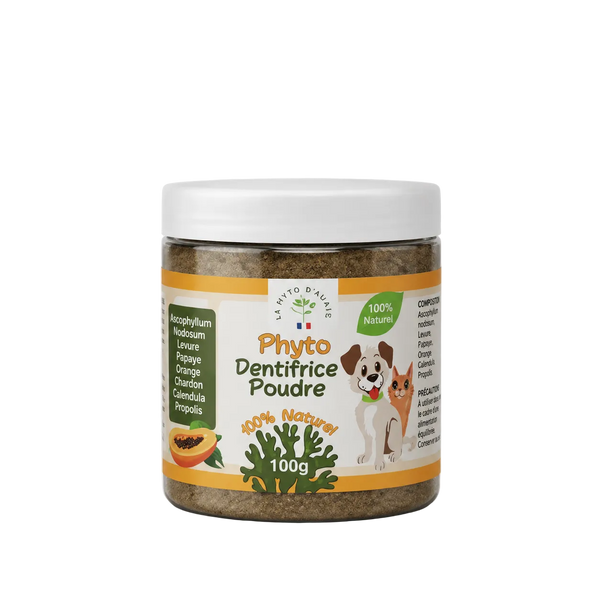 Phyto Dentaire – Soin Naturel pour les Dents et l’Haleine de Chien et Chat