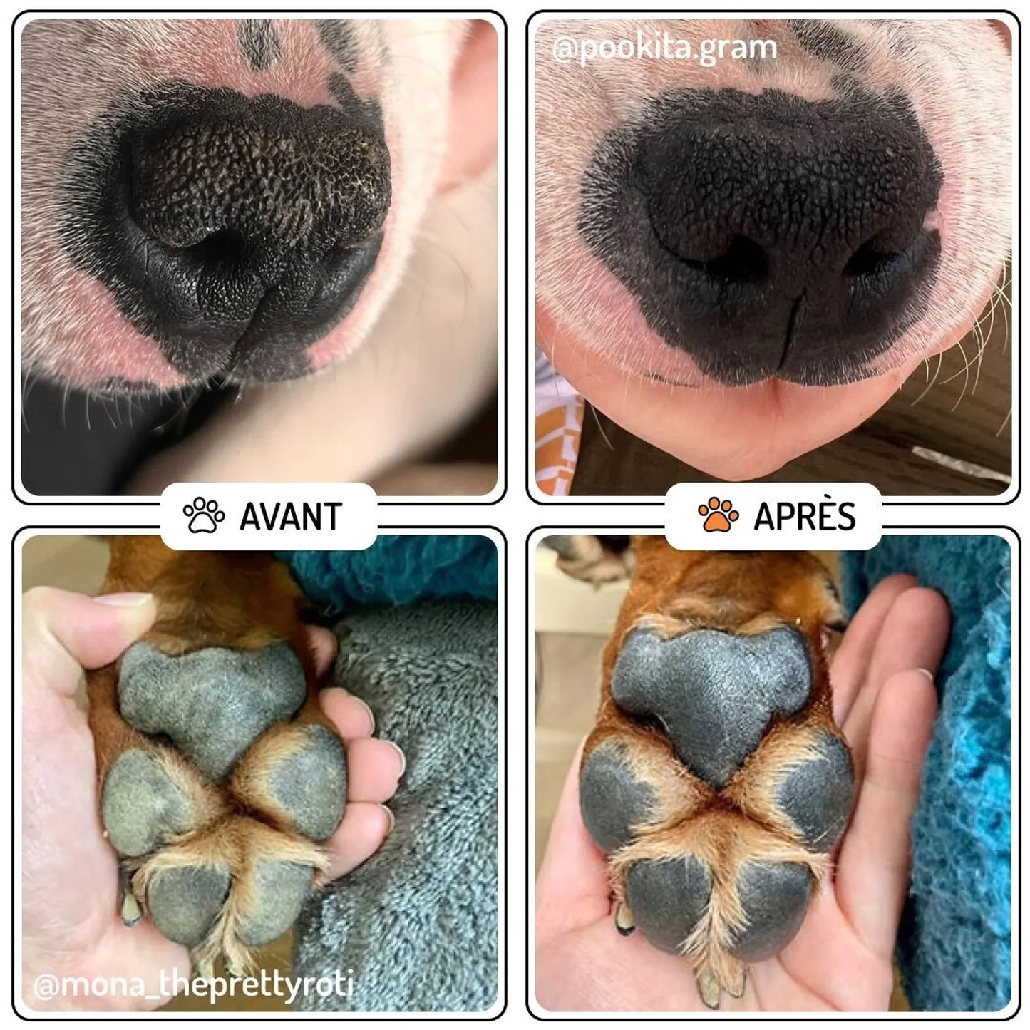 🌿 Velours – Baume Naturel Truffe & Coussinets pour Chien et Chat